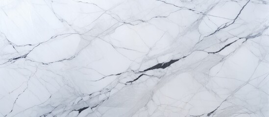 A close-up view showcasing the intricate details of a white marble wall texture. The natural patterns and veining of the marble are prominently displayed, creating a luxurious and elegant appearance.