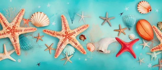 Papier Peint photo Lavable Turquoise Aquathemed display featuring a row of marine invertebrates like starfish and seashells on an azure background, evoking the beauty of nature in the sea