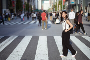 Tokyo's heartbeat, Unseen individuals in the crosswalk, a visual symphony of business and urban...
