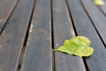 Closeup of Dry leaves on the old wooden background