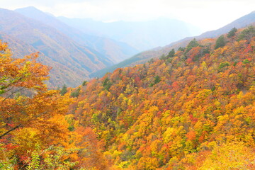 絶景の日本　紅葉　剣山
