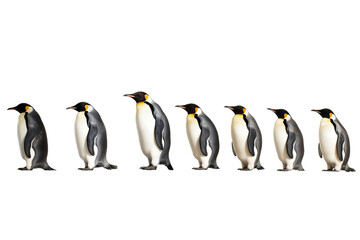 Adorable penguins traverse frosty landscape together. realistic portrait isolated on PNG