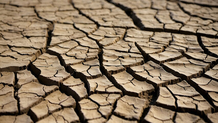 dry cracked earth texture background