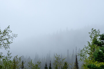 Mountains in fog