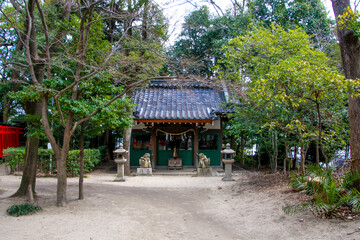 Fototapeta premium 亀之森住吉神社