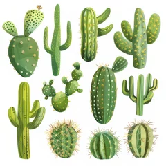 Glasschilderij Cactus Clipart illustration with various types of cacti on a white background.