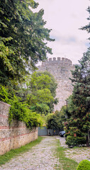 Tower of castle ruins behind treeline