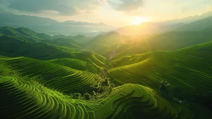 Fototapete Mu Cang Chai Aerial view of Rice fields on terraced of Mu Cang Chai, Vietnam