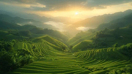 Papier Peint photo Lavable Rizières Aerial view of Rice fields on terraced of Mu Cang Chai, Vietnam