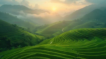 Foto auf Acrylglas Mu Cang Chai Aerial view of Rice fields on terraced of Mu Cang Chai, Vietnam