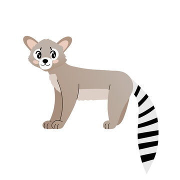 Cute cartoon illustration of ringtail cat. American endemic animal