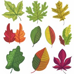 Clipart illustration with various leaves. on a white background
