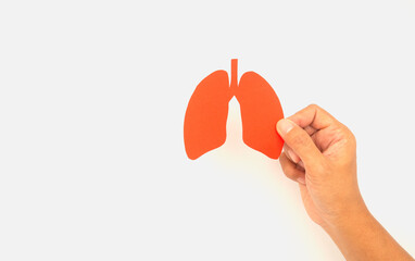 Human hand holding a lung symbol on a white background.