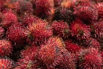 Rambutan, fuit from Southeast Asia