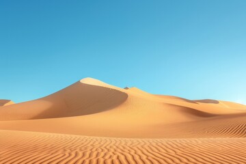 Fototapeta na wymiar Desert landscape with sand dunes and clear blue sky.