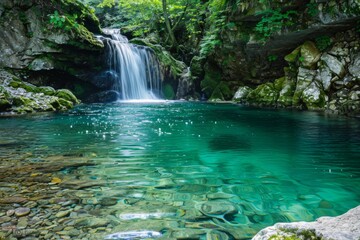 Fototapeta premium A beautiful waterfall cascading into a crystal clear pool. Surrounded by lush green leaves