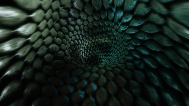 reptile textured Seamless Loop tunnels, Snakeskin wormhole funnel tunnel flight seamless loop animation.