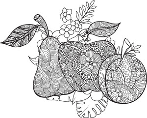 hand draw fruit with mandala style coloring page for adult, outline and line art for coloring book