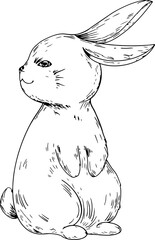 Hand drawn cute bunny illustration on transparent background.
