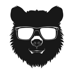 Bear Wearing Glasses