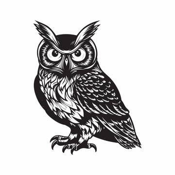 Owl bird vintage woodcut style drawing vector