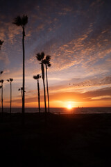 sunset at the beach