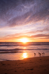 Fototapeta premium sunset on the beach