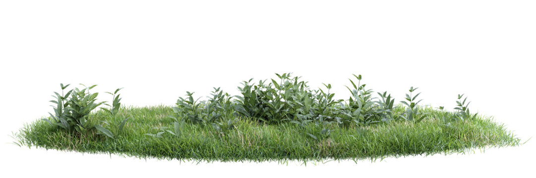 Unit green grass on transparent background 3d rendering png