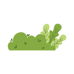 Green grass leaves. nature decoration vector