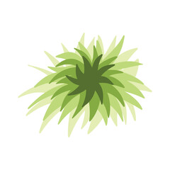 Green grass leaves. nature decoration vector