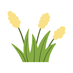 Green grass leaves. nature decoration vector © rizkan