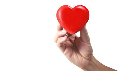 Hands holding  red heart. heart health donation
