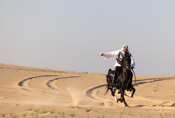 Saudi man in a desert with his black stallion