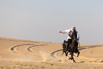 Saudi man in a desert with his black stallion