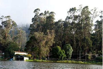 Lake Edge Landscape, Kodaikanal