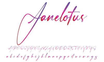  handwritten calligraphy font. Vector alphabet. Hand drawn letters