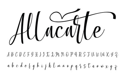 Best Alphabet Beauty Sign Script Signature Logotype Font lettering handwritten