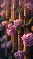 Fototapeta na wymiar The lilac flowers are very beautiful Realistic photography: several blooming flowers climb on the bamboo fence. The flowers are covered with dew.