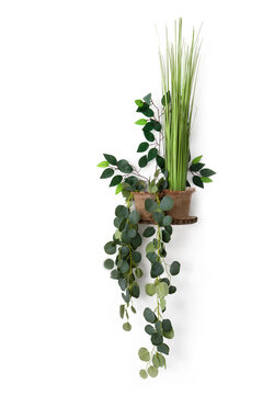 plastic plants hanging on the wall, png file