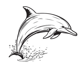 Dolphin jumping hand drawn sketch Vector
