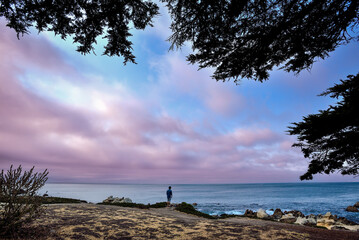 A Young Man standing by the Ocean in Berwick Park - Pacific Grove, California