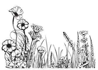 Wild flower field border hand drawn sketch in doodle style illustration