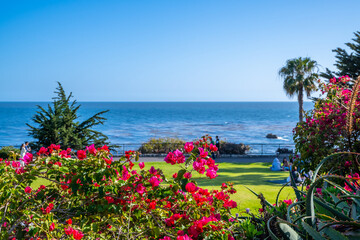 A beautiful overlooking view of nature in Laguna Beach, California