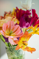 Obraz premium colorful tulips in the vase