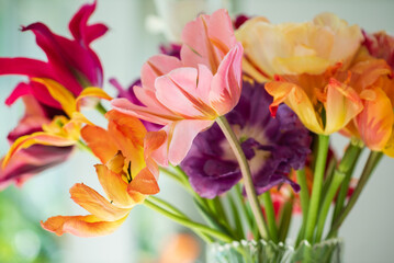 colorful tulips in the vase