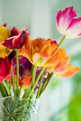 colorful tulips in the vase