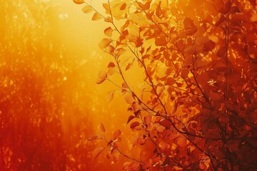 An autumn-inspired gradient moving from a burnt orange to a golden yellow, evoking the warmth and coziness of the season