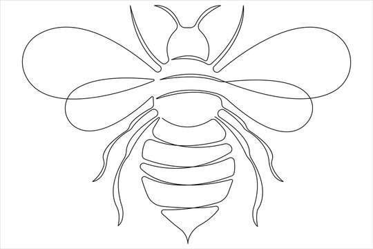 Simple illustration of honey bee shape continuous one line art bee outline vector 
