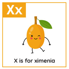 Learning English alphabet for kids. Letter X. Cute cartoon ximenia.