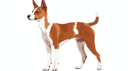African Basenji dog  isolated vector illustration 